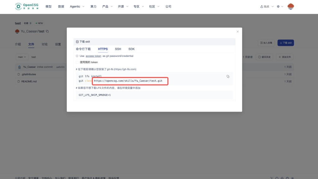 技能仓库详情页「下载 skill」：HTTPS 与 git clone 命令示例