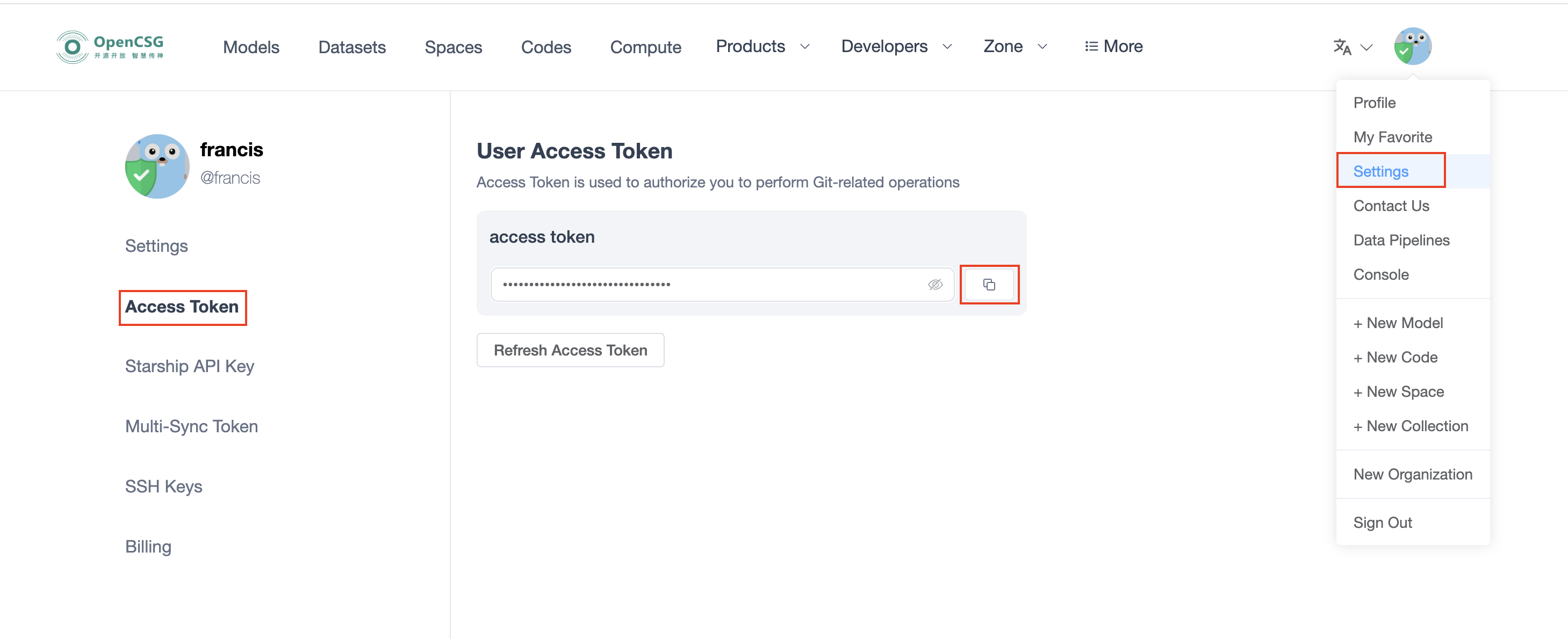 Access Token