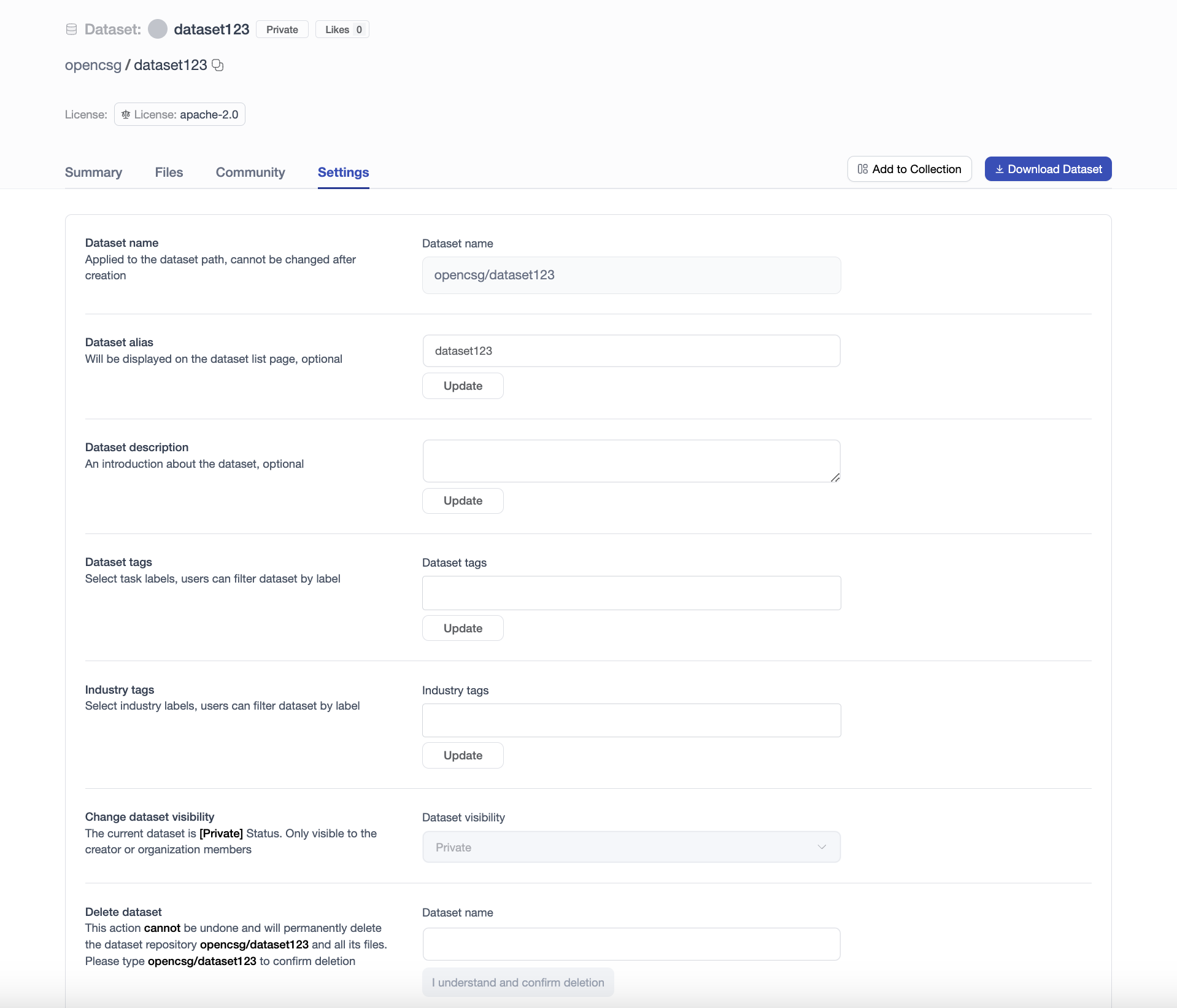 Dataset repo settings