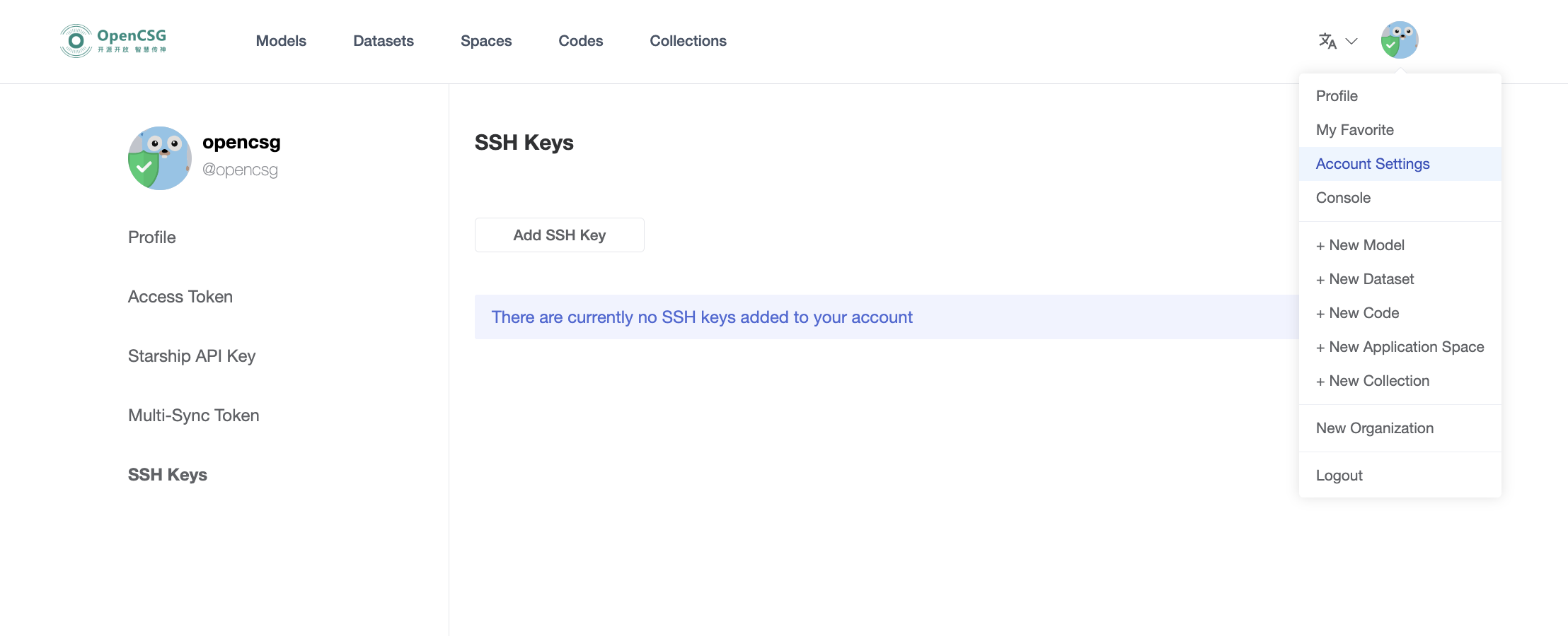 SSH Key